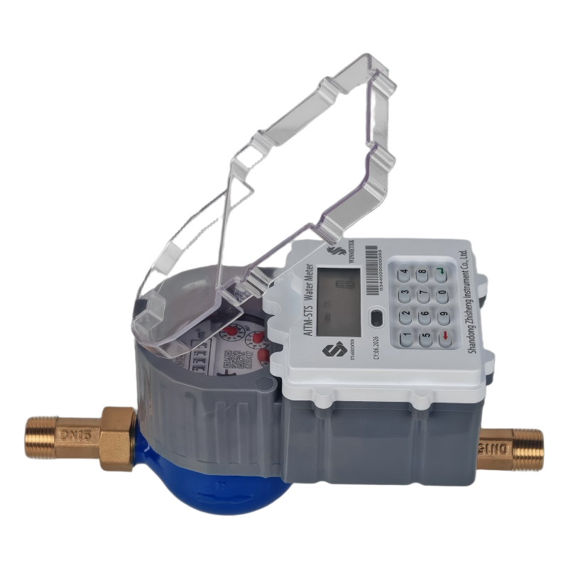 Shandong Zhisheng Instrument Co., Ltd.