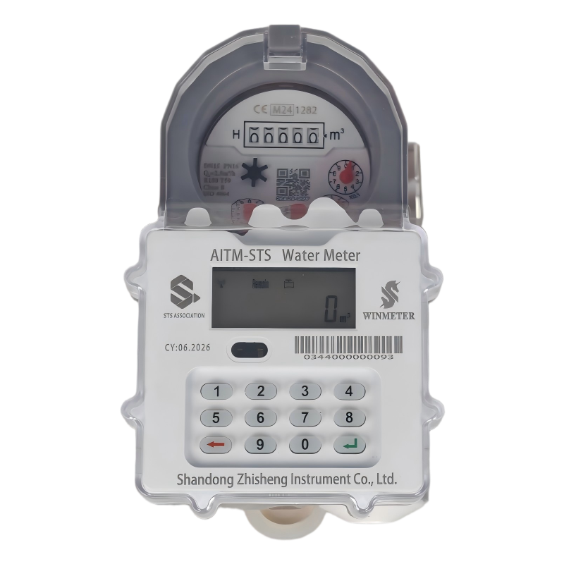 Shandong Zhisheng Instrument Co., Ltd.